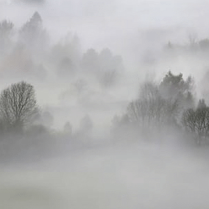 nebbia