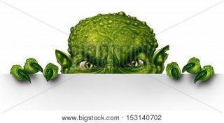 bigstock_153140702
