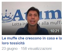 Video approfondimento sulle muffe e le spore