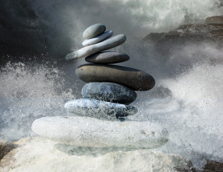 muffa-perdita-equilibri-nella-abitazione