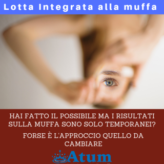 azione antimuffa senza risultati approccio errato