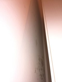 foto muffa su parete interna di una camera da letto foto muffa su parete interna di una camera da letto